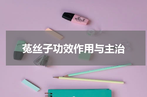 菟丝子功效作用与主治