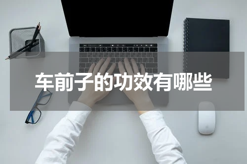 车前子的功效有哪些