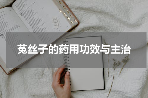 菟丝子的药用功效与主治