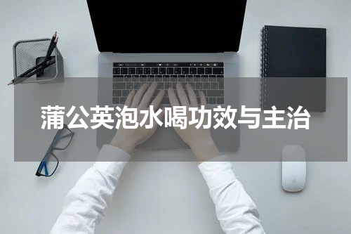 蒲公英泡水喝功效与主治