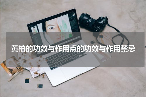 黄柏的功效与作用点的功效与作用禁忌