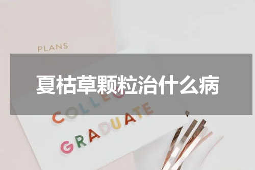 夏枯草颗粒治什么病