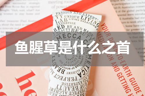 鱼腥草是什么之首