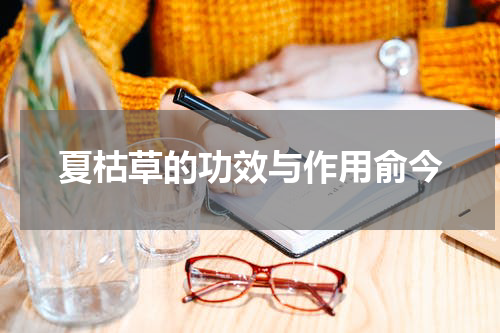 夏枯草的功效与作用俞今