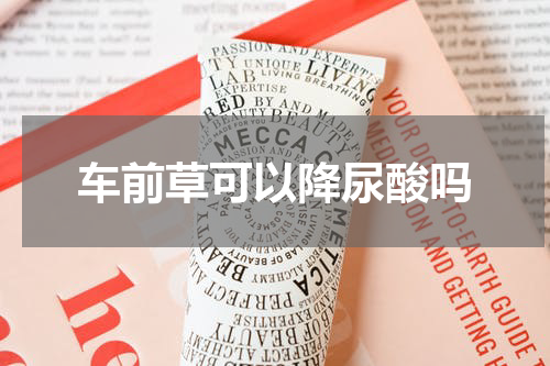 车前草可以降尿酸吗