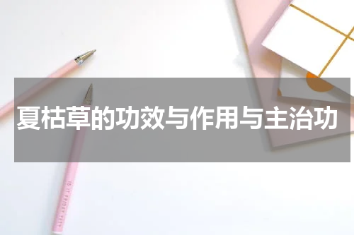 夏枯草的功效与作用与主治功