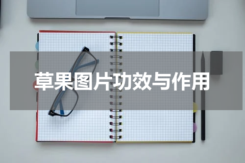 草果图片功效与作用