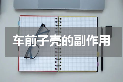 车前子壳的副作用