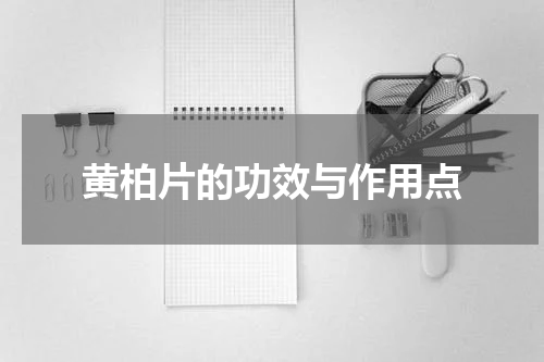 黄柏片的功效与作用点