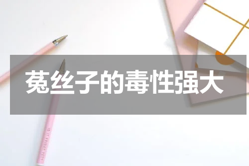 菟丝子的毒性强大