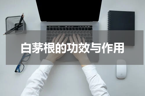 白茅根的功效与作用
