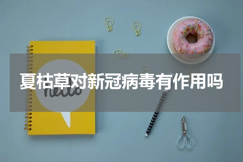 夏枯草对新冠病毒有作用吗