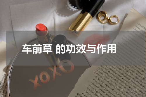 车前草 的功效与作用