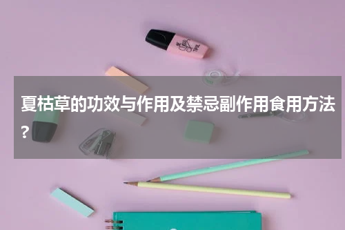 夏枯草的功效与作用及禁忌副作用食用方法?