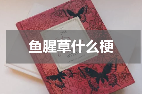 鱼腥草什么梗