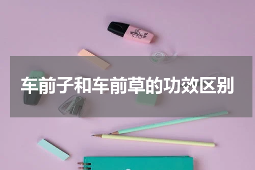 车前子和车前草的功效区别