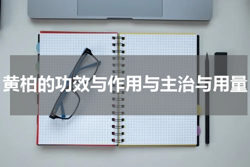 黄柏的功效与作用与主治与用量