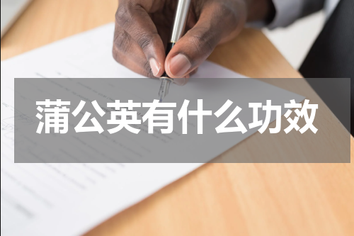 蒲公英有什么功效