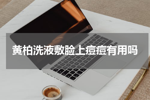 黄柏洗液敷脸上痘痘有用吗