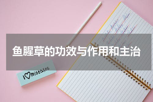 鱼腥草的功效与作用和主治