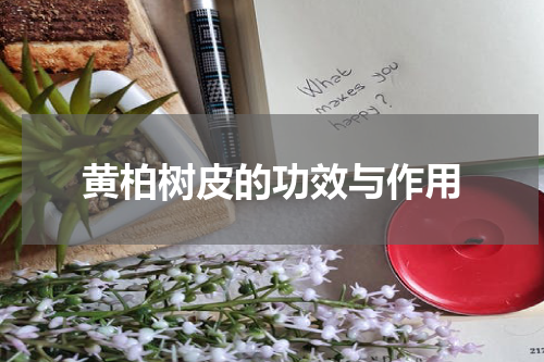 黄柏树皮的功效与作用
