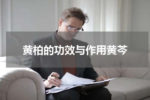 黄柏的功效与作用黄芩