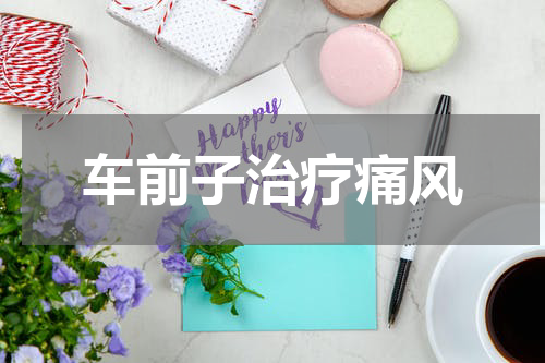 车前子治疗痛风