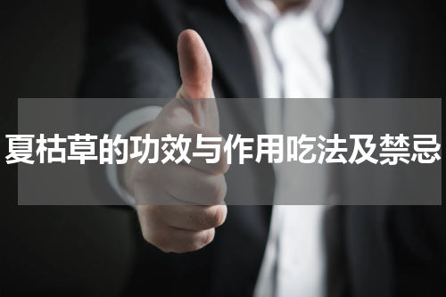 夏枯草的功效与作用吃法及禁忌