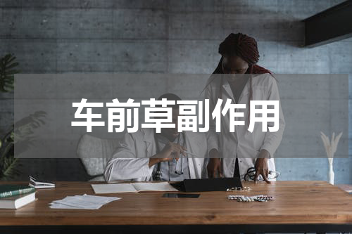 车前草副作用