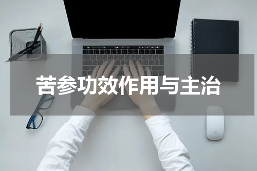 苦参功效作用与主治