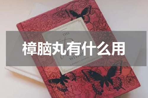 樟脑丸有什么用