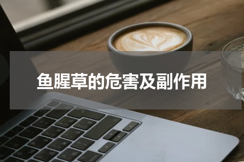 鱼腥草的危害及副作用