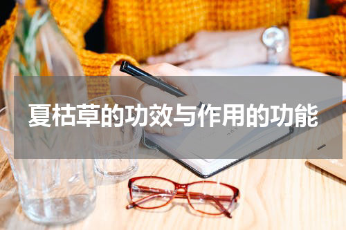 夏枯草的功效与作用的功能