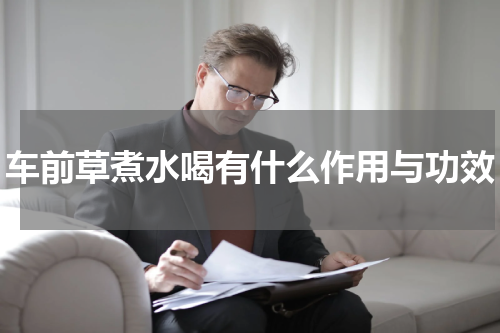 车前草煮水喝有什么作用与功效