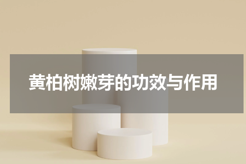 黄柏树嫩芽的功效与作用