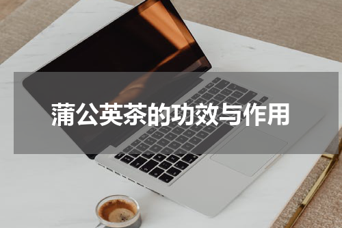 蒲公英茶的功效与作用