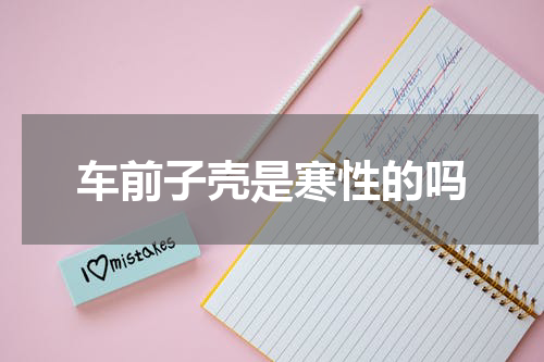 车前子壳是寒性的吗