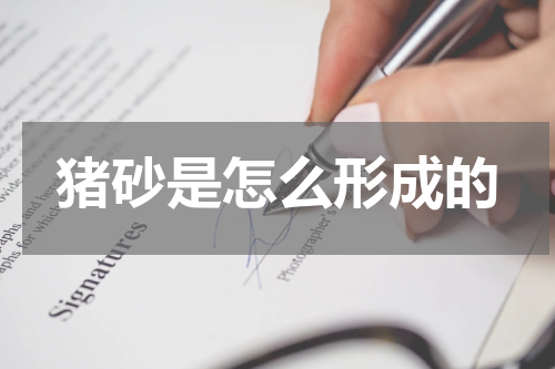 猪砂是怎么形成的