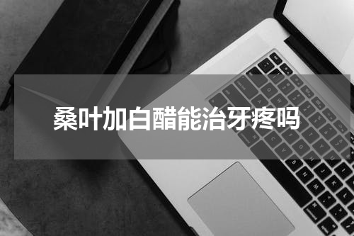 桑叶加白醋能治牙疼吗