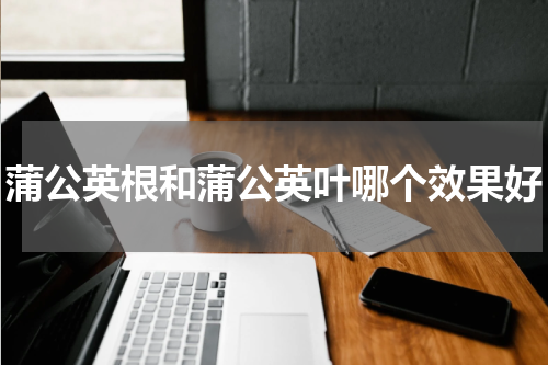 蒲公英根和蒲公英叶哪个效果好