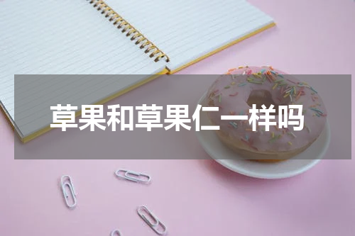 草果和草果仁一样吗