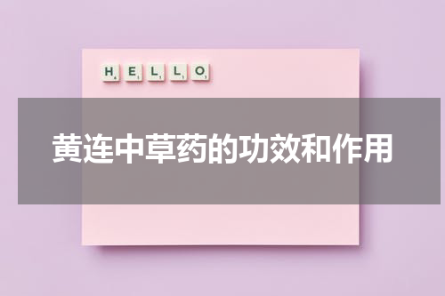 黄连中草药的功效和作用