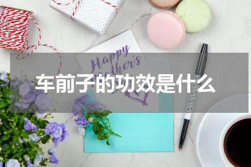 车前子的功效是什么