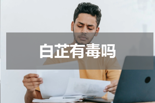白芷有毒吗