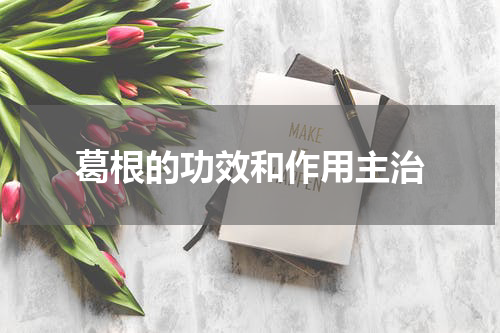 葛根的功效和作用主治