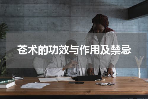 苍术的功效与作用及禁忌