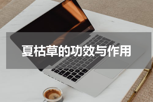 夏枯草的功效与作用