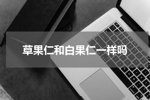 草果仁和白果仁一样吗