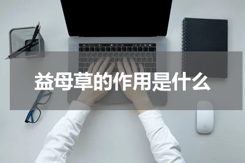 益母草的作用是什么