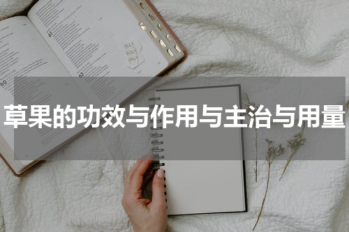 草果的功效与作用与主治与用量